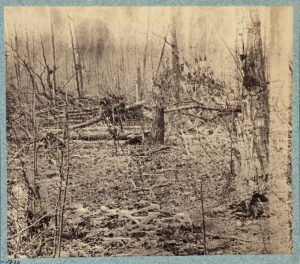 William Bell(?), Battle-field of the “Wilderness” Views in the woods in the Federal Lines on north side of Orange Plank Road, 1866. Albumen print. (Library of Congress, Prints and Photographs Division, Washington, DC, LC-DIG-ppmsca-23672.)