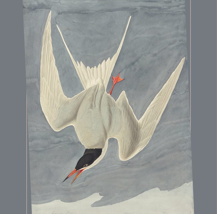 Book cover for Transporting Visions
