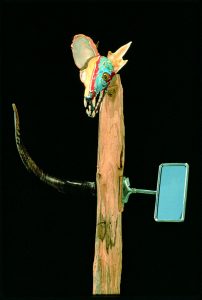 Jimmie Durham (b. 1940), Not Joseph Beuys’ Coyote, 1990. Coyote skull and mixed media, 63 x 28 x 29 in. Courtesy of the artist.