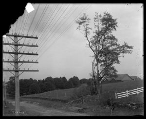 Fig. 6 William N. Jennings, Tree Struck by Lightning, West Chester, PA, n.d. Glass plate negative. The Library Company of Philadelphia.