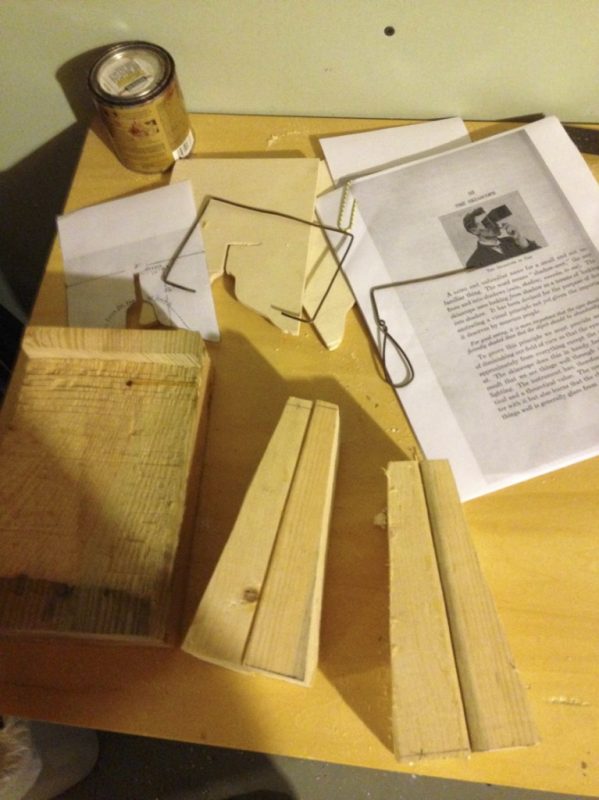 Looking through the Skiascope Benjamin Ives Gilman and the Invention