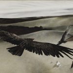 Andrew Wyeth and Birds of War