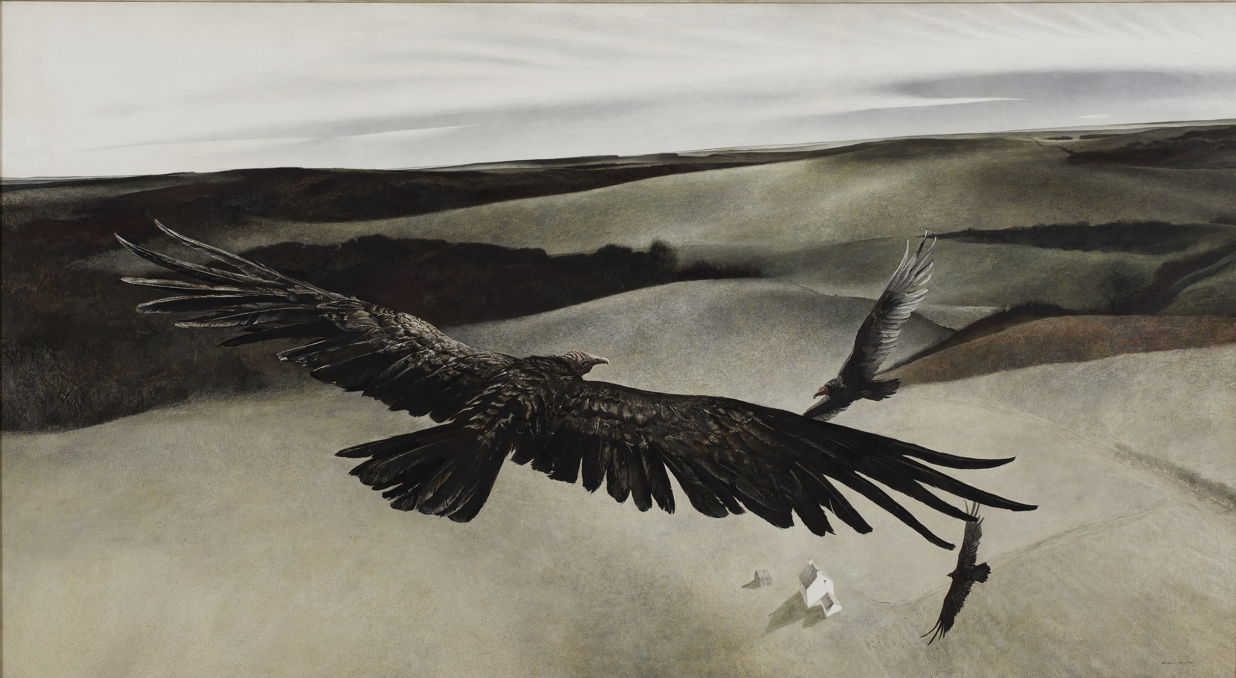 Painting of three turkey buzzards flying over a landscape, seen from above