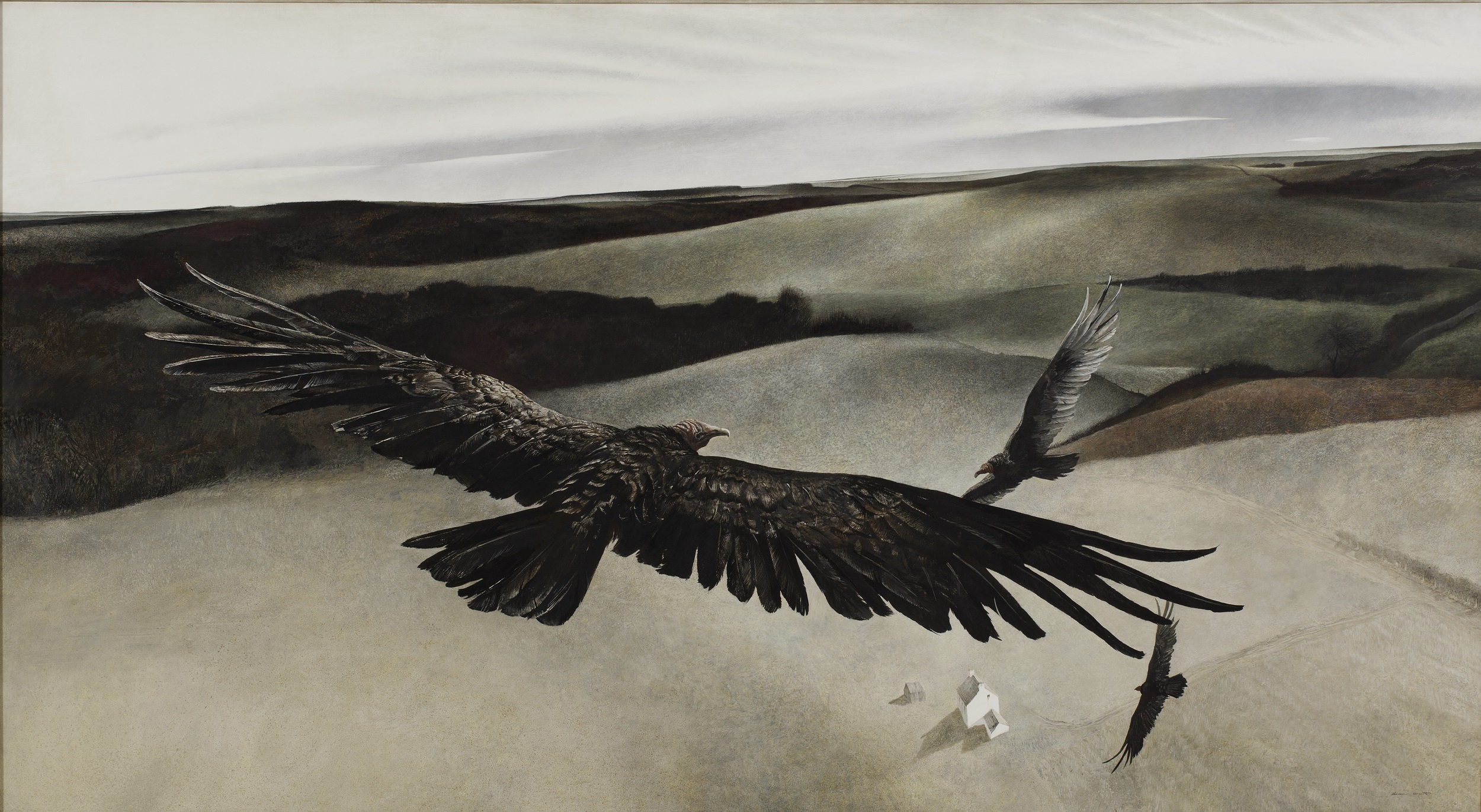 Andrew Wyeth and Birds of War - Panorama