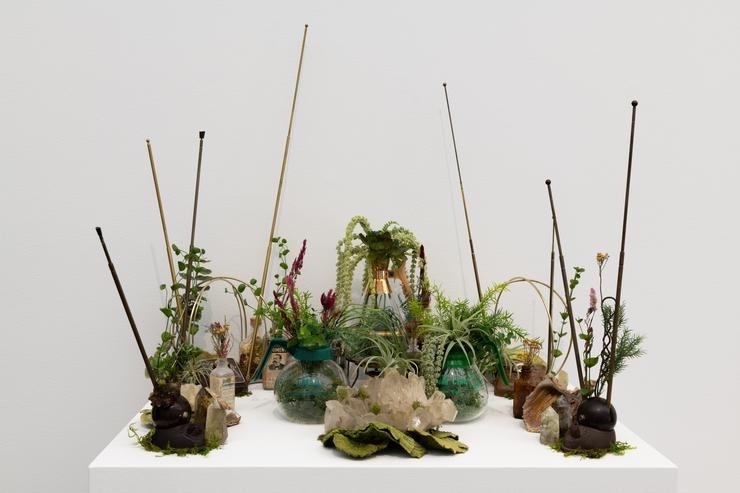 Sculpture composted of living plants, glass balls, and sticks with beads on the ends