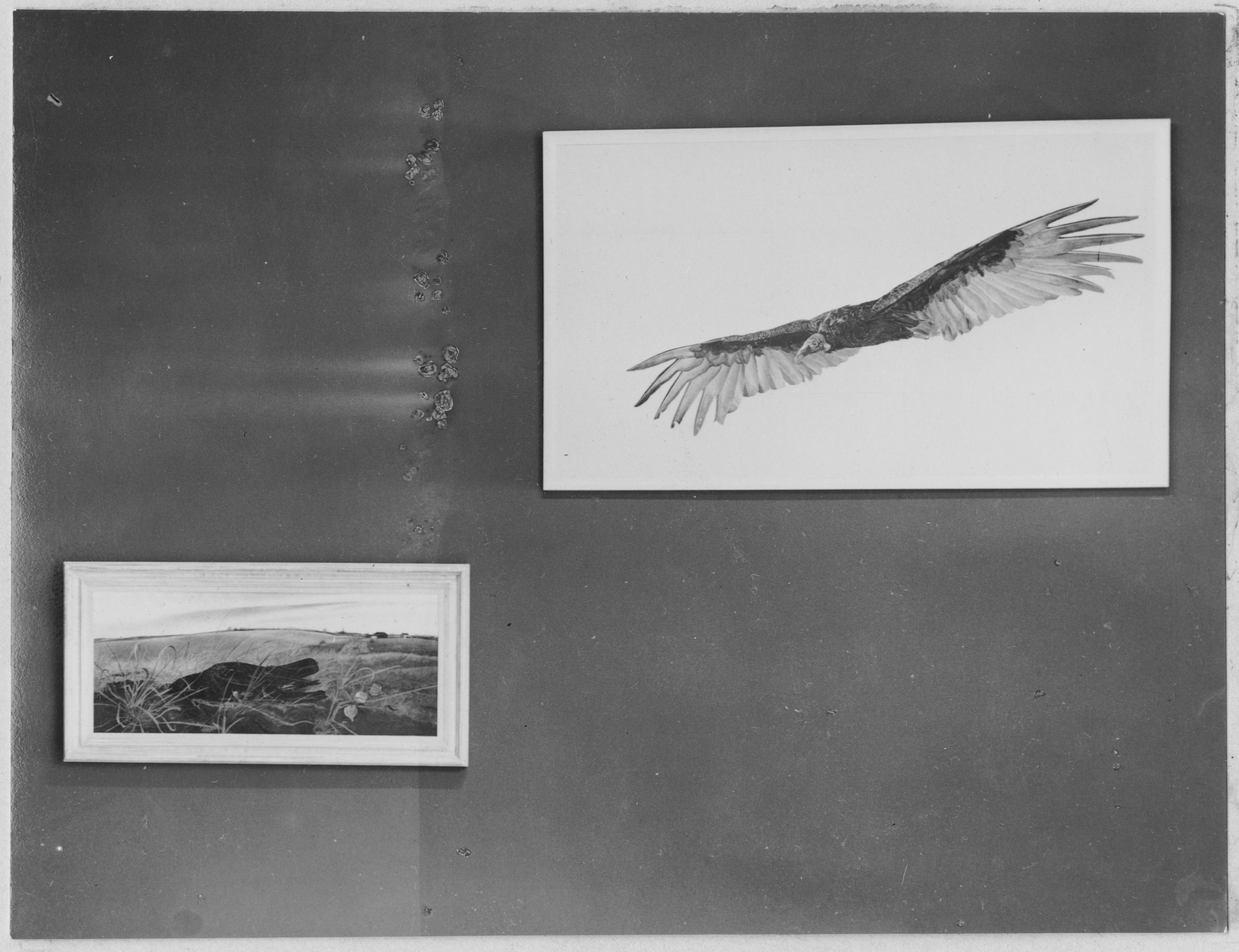 Black and white photograph of two works of art on a blank wall. 