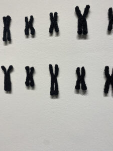 Photograph of irregular black X shapes attached to a white wall