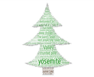 Word cloud in the form of a pine tree; the most prominent word is "yosemite"