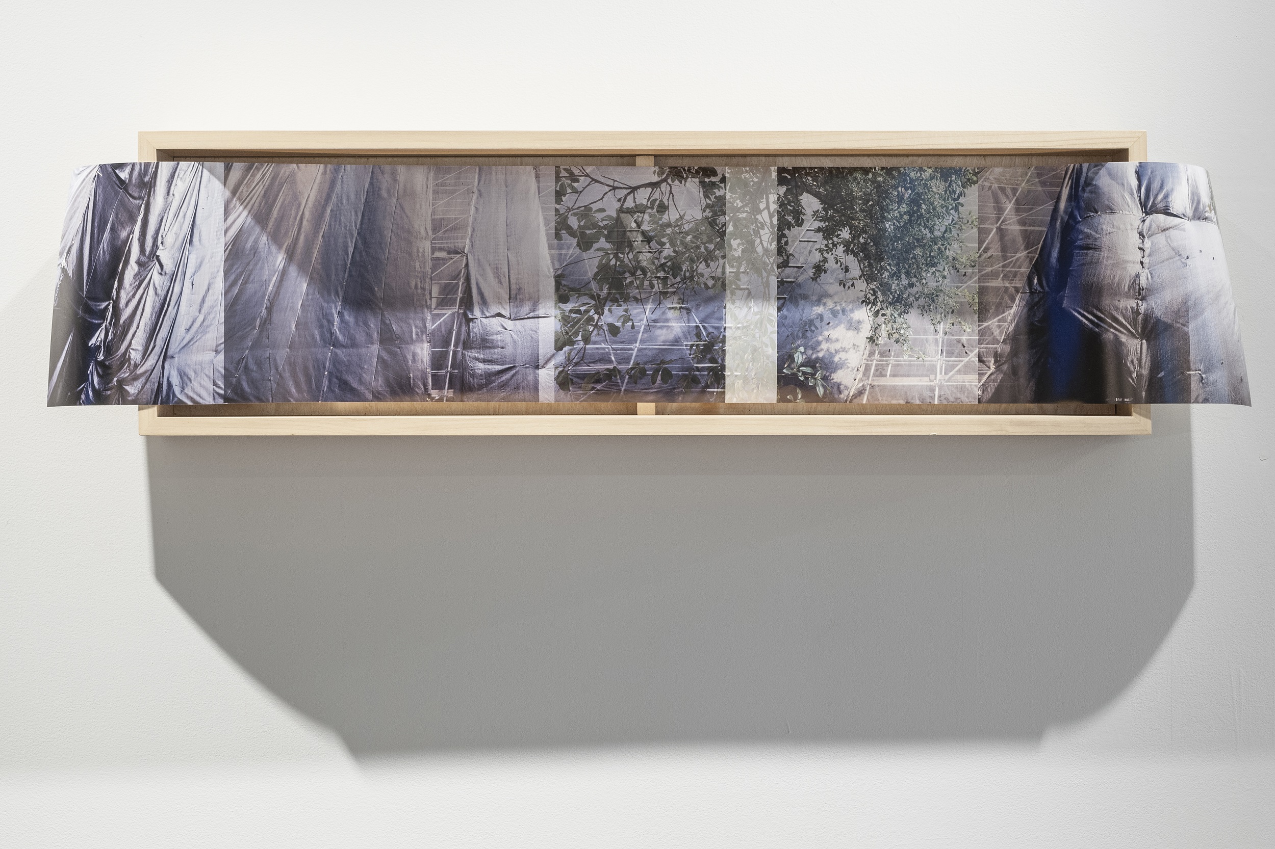 Photograph of artwork, composed of a digital print extending the borders of its unfinished wood frame, hung on a gallery wall