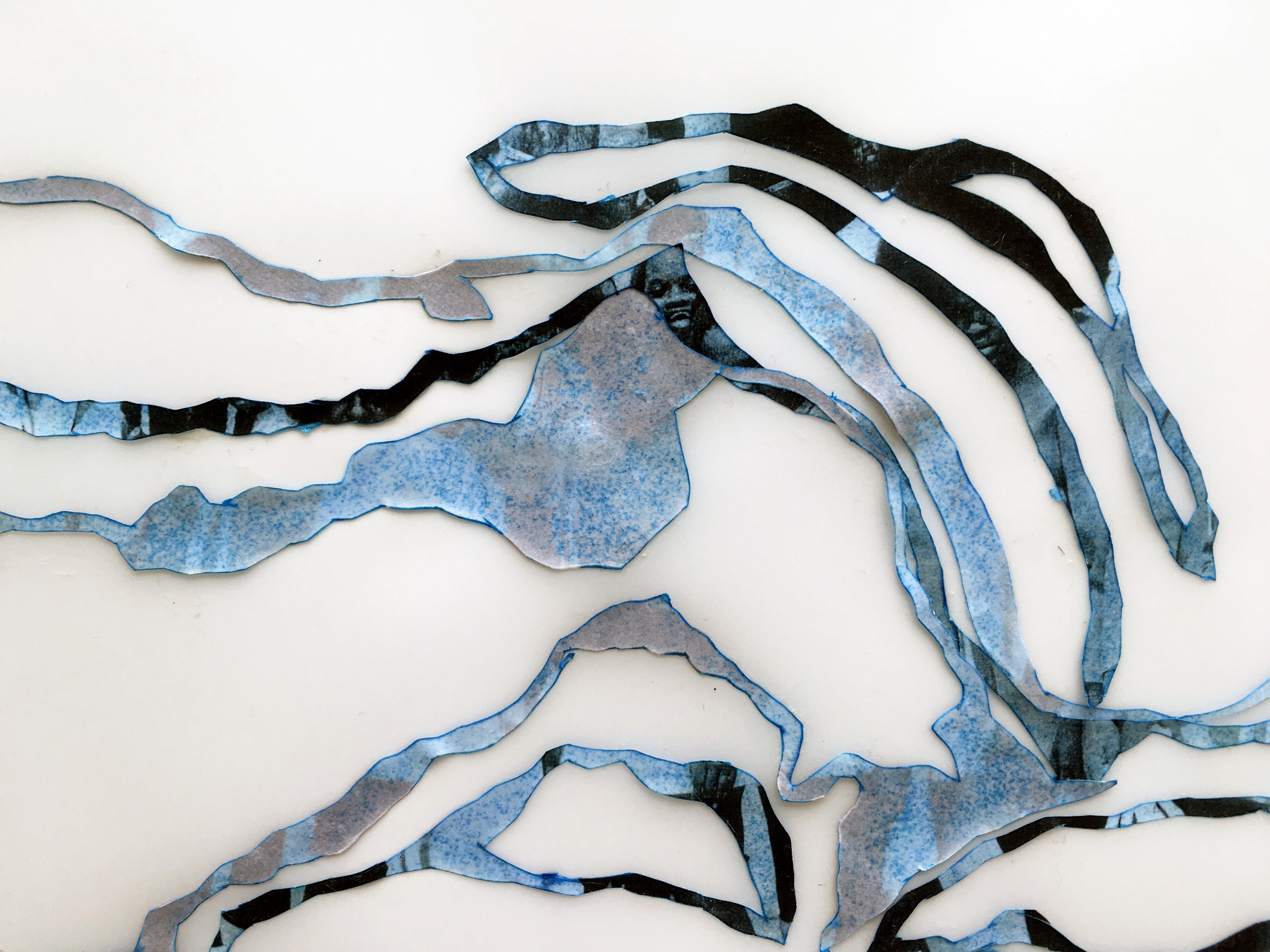 Detail of abstract seaweed-like cutout forms in black, white, and silver against a white background