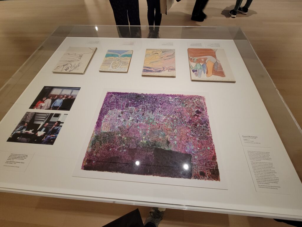 Glass museum display case containing four drawings by Joseph E. Yoakum, one work by Rayed Mohemed, and two color snapshots.