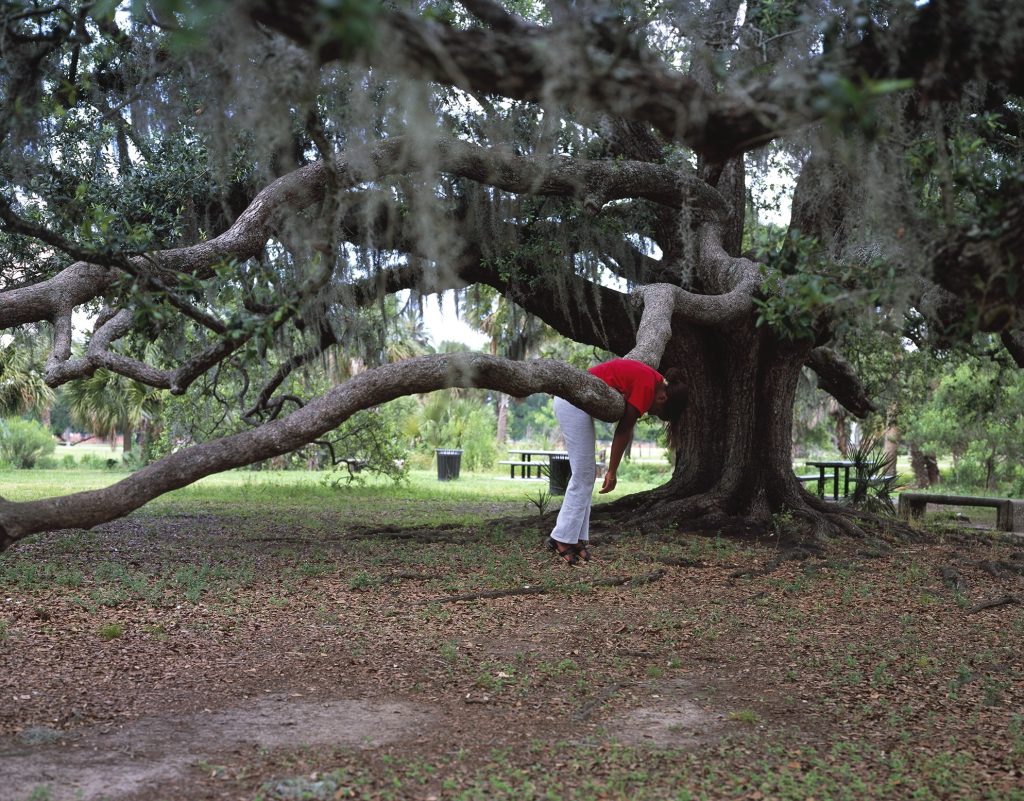 Color photograph of a figure in a red shirt and white pants leaning over a low-lying tree branch.