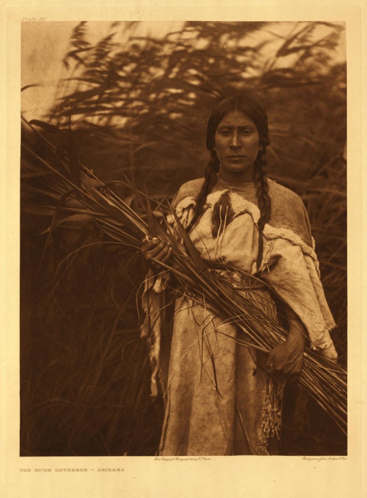 Sepia-toned historical photograph of a young Native American woman holding stalks of vegetation diagonally across her body