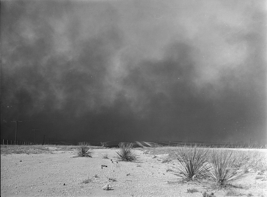 Black-and-white photograph of a desert landscape with dark clouds in the sky.