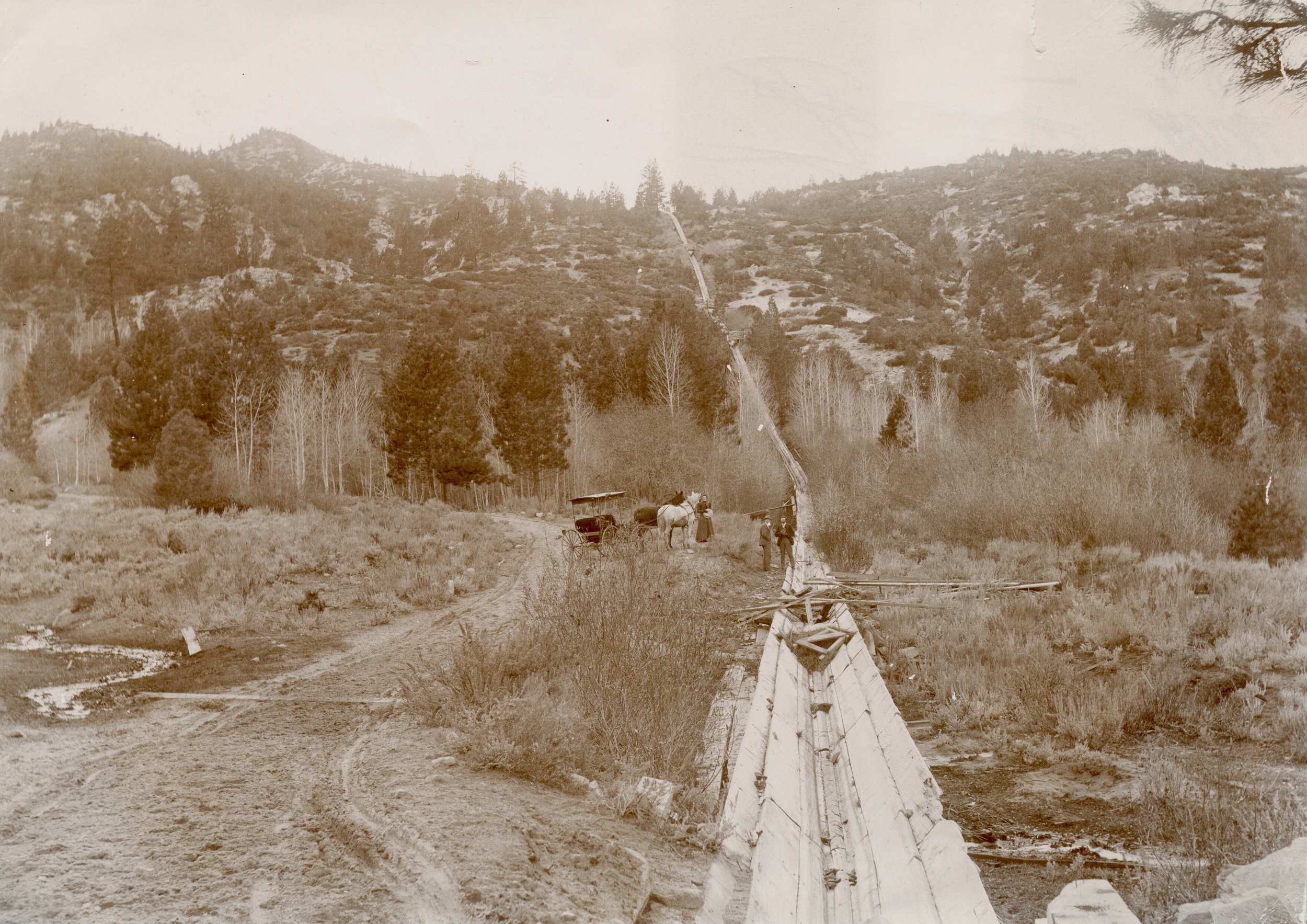 Sepia-toned photograph of a wooded hilly landscape with a wooden chute extending from foreground to background.
