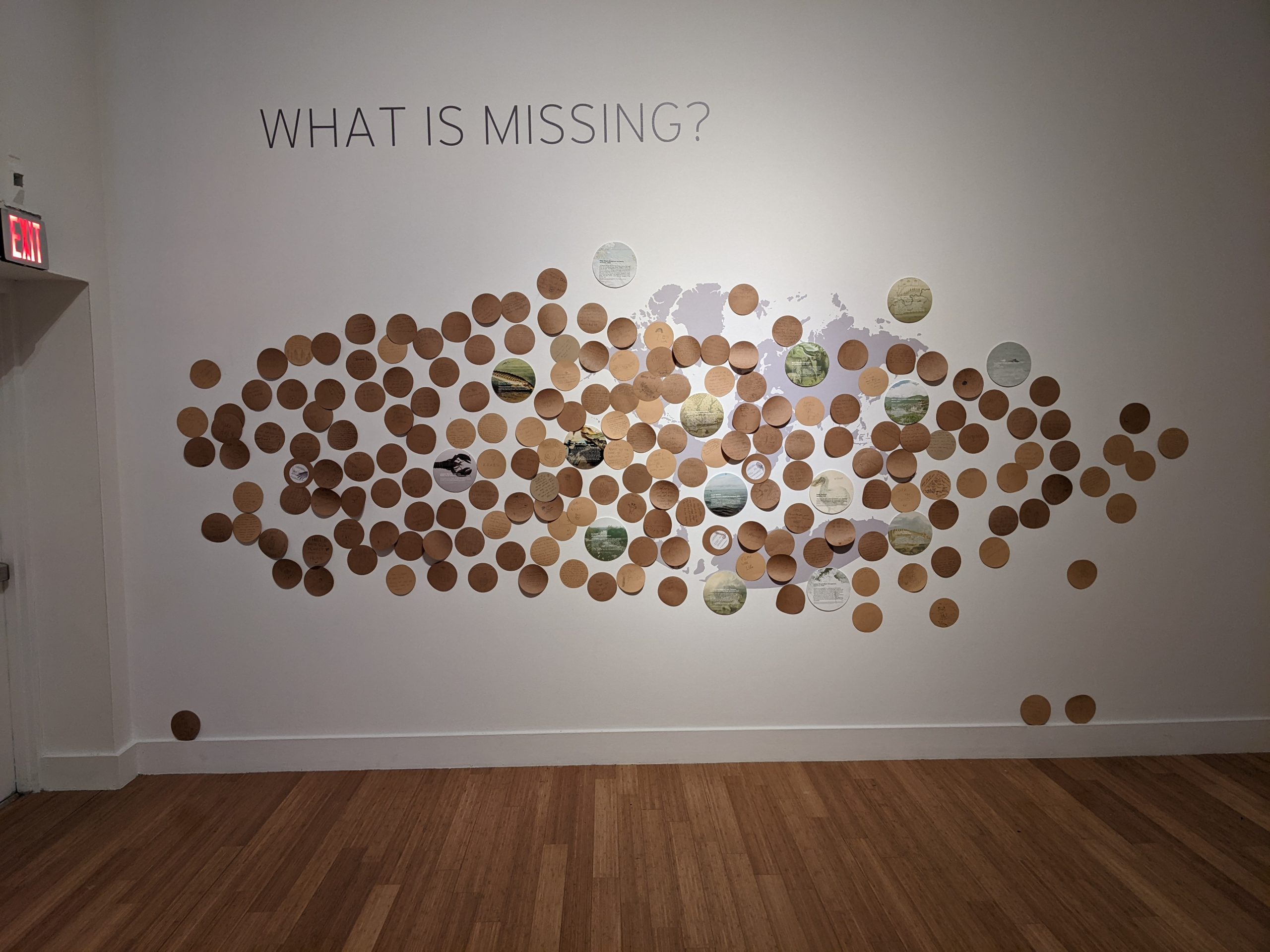 Photograph of museum gallery installation consisting of multiple decorated circles of brown paper, above which are the words "WHAT IS MISSING?"