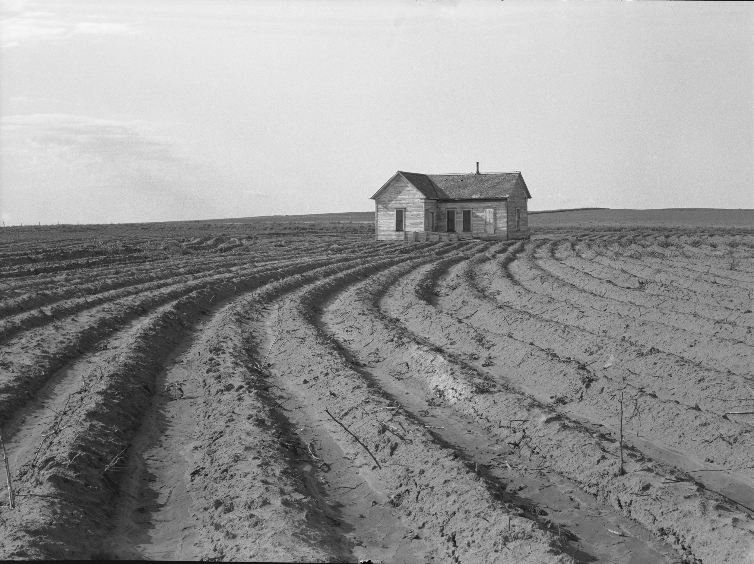Black-and-white photograph of a farmhouse in the middle of a plowed field.