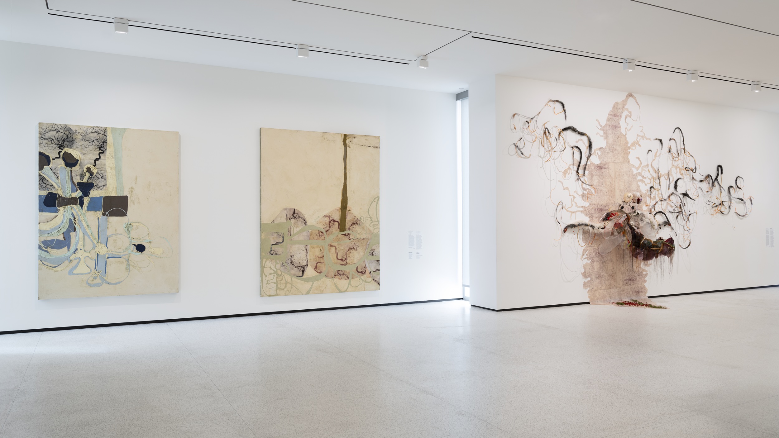 Interior of a museum gallery with blank white walls. Two large, abstract paintings are hung on the left; on the right-hand wall is a semi-sculptural work that extends onto the floor, to the sides, and out front with tentacle-like forms.